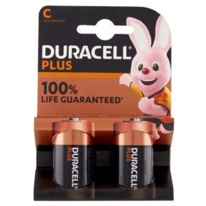 DURACELL PLUS 100 D B2