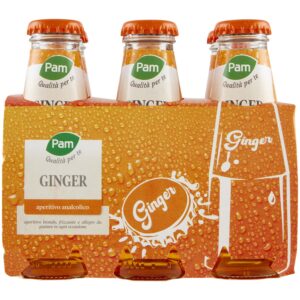 PAM GINGER X6