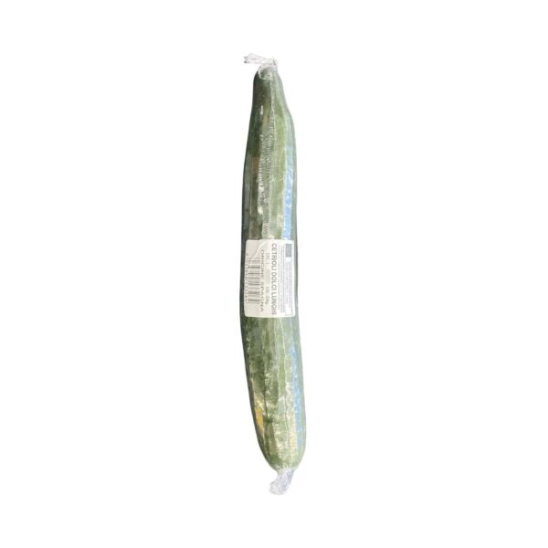 CETRIOLI LUNGHI GR 350
