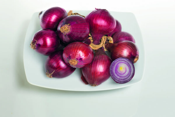 CIPOLLE ROSSE GR 700