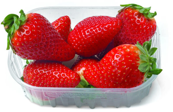 FRAGOLE G 250
