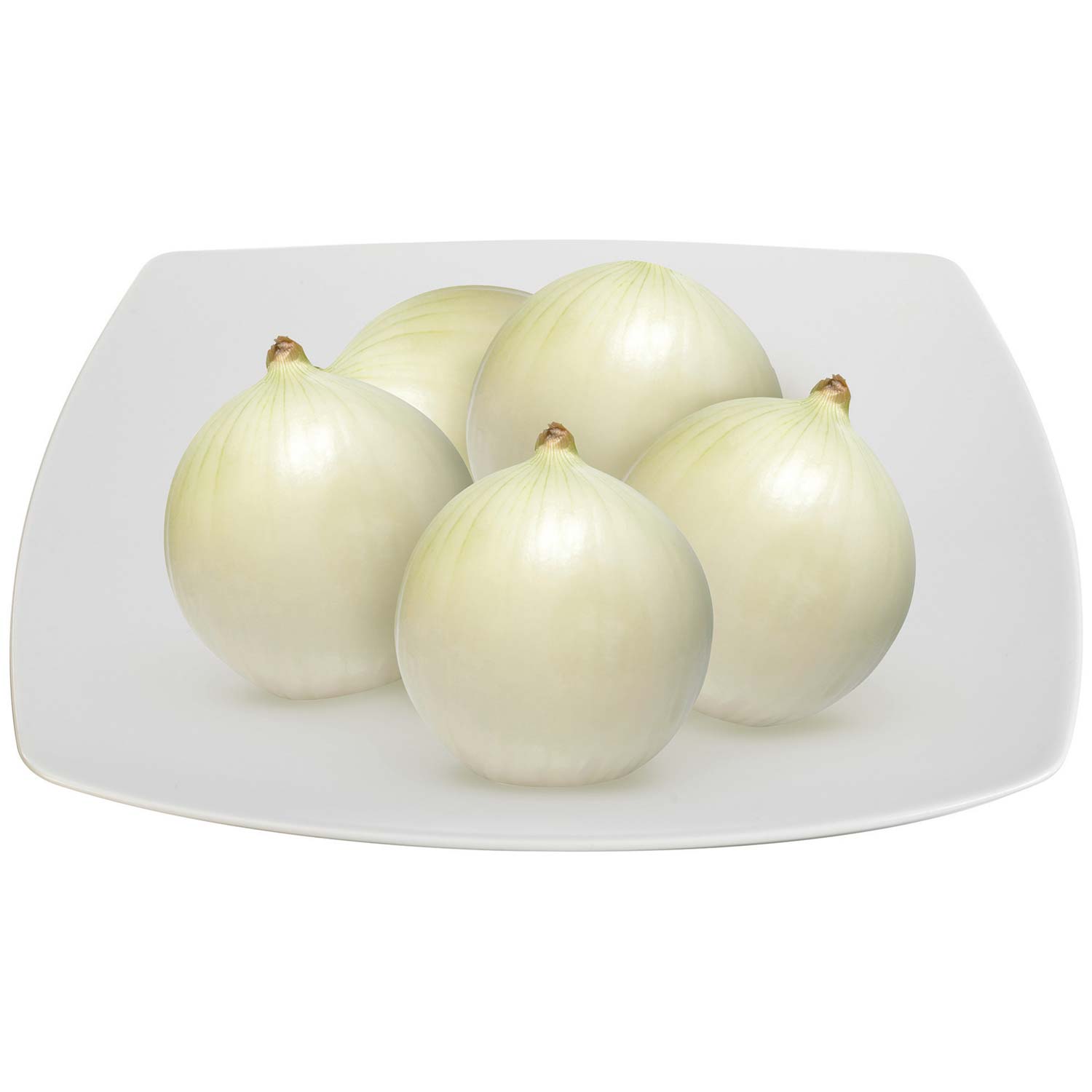 PAM CIPOLLE BIANCHE GR 700