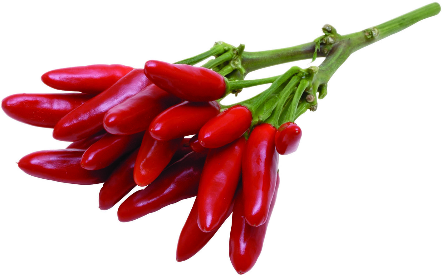 PEPERONCINI PICCANTI