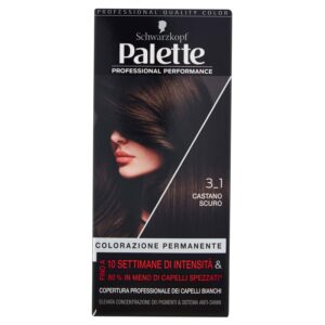 TINTA PALETTE 3_1 CASTANO SCUR