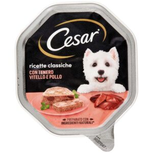 UM.CANE CESAR PATE' TACCH VER